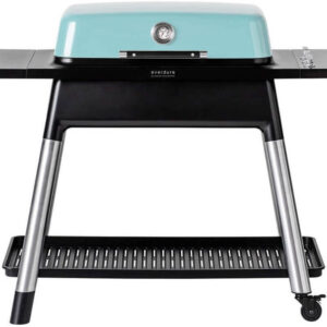 Everdure Furnace Mint (showmodel) goedkoop kopen bij 24BBQ.NL